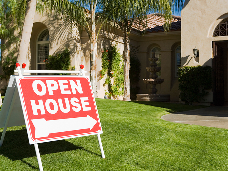 IMG 1