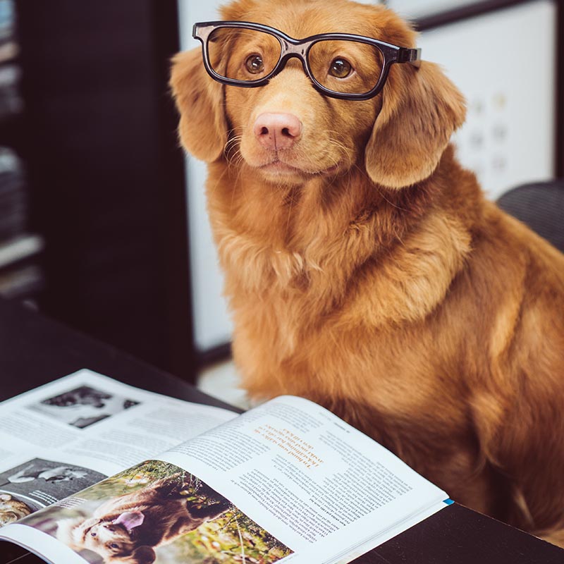 Books and Programs Design PB 50 50 Pic 2