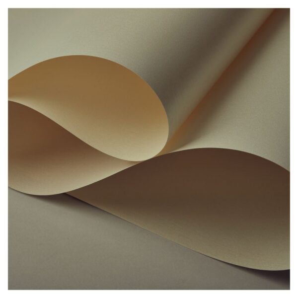 Rolled Sheets of Paper